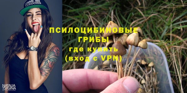 герыч Арсеньев