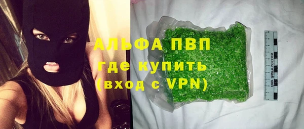 прущие грибы Армянск