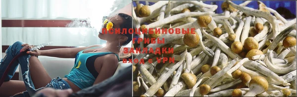 шишки Алзамай