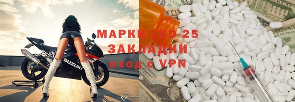 сатива Дмитриев